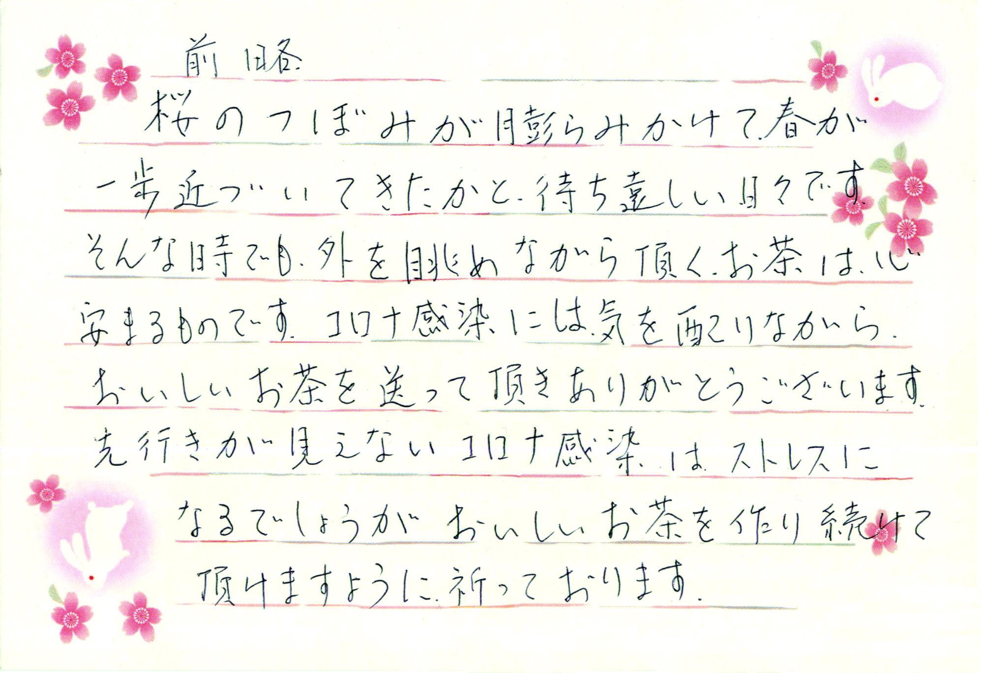葛野　お茶　感想　評判　深蒸し茶　通販　掛川茶